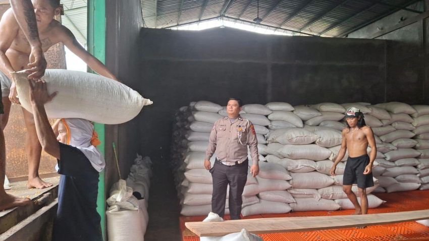 Dukung Program Ketahanan Pangan, Polres Simalungun Pendampingi Penyerapan 10 Ton Jagung Petani ke Bulog Pematangsiantar
